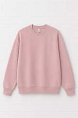 MEN - EARTH POSITIVE SWEATSHIRT - DELIGHT SPRING