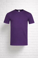 Unisex T- Shirt - VERDANT WINTER