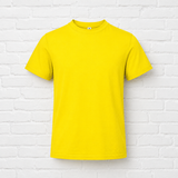 Klassik T- Shirt MEN- MAJESTIC WINTER- VERSCH. NUANCEN