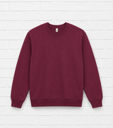 MEN - EARTH POSITIVE SWEATSHIRT - 360°