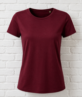 BIO CLASSIC COTTON T-SHIRT - VERDANT WINTER