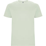 T-SHIRT MAN ROLY -  DELIGHT SPRING
