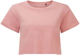 Cropped T- Shirt- GENTLE SPRING